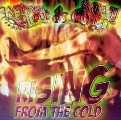 Stay Cold : Rising from the Cold